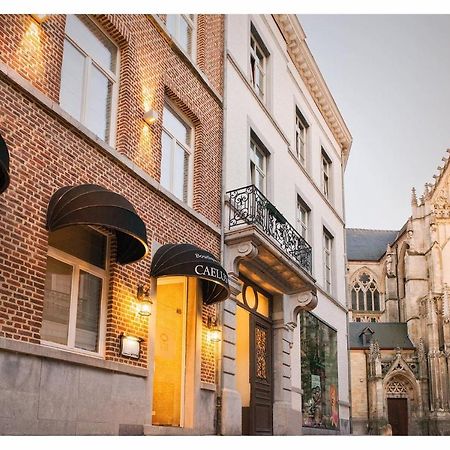 Boutique Hotel Caelus VII Tongeren Bagian luar foto