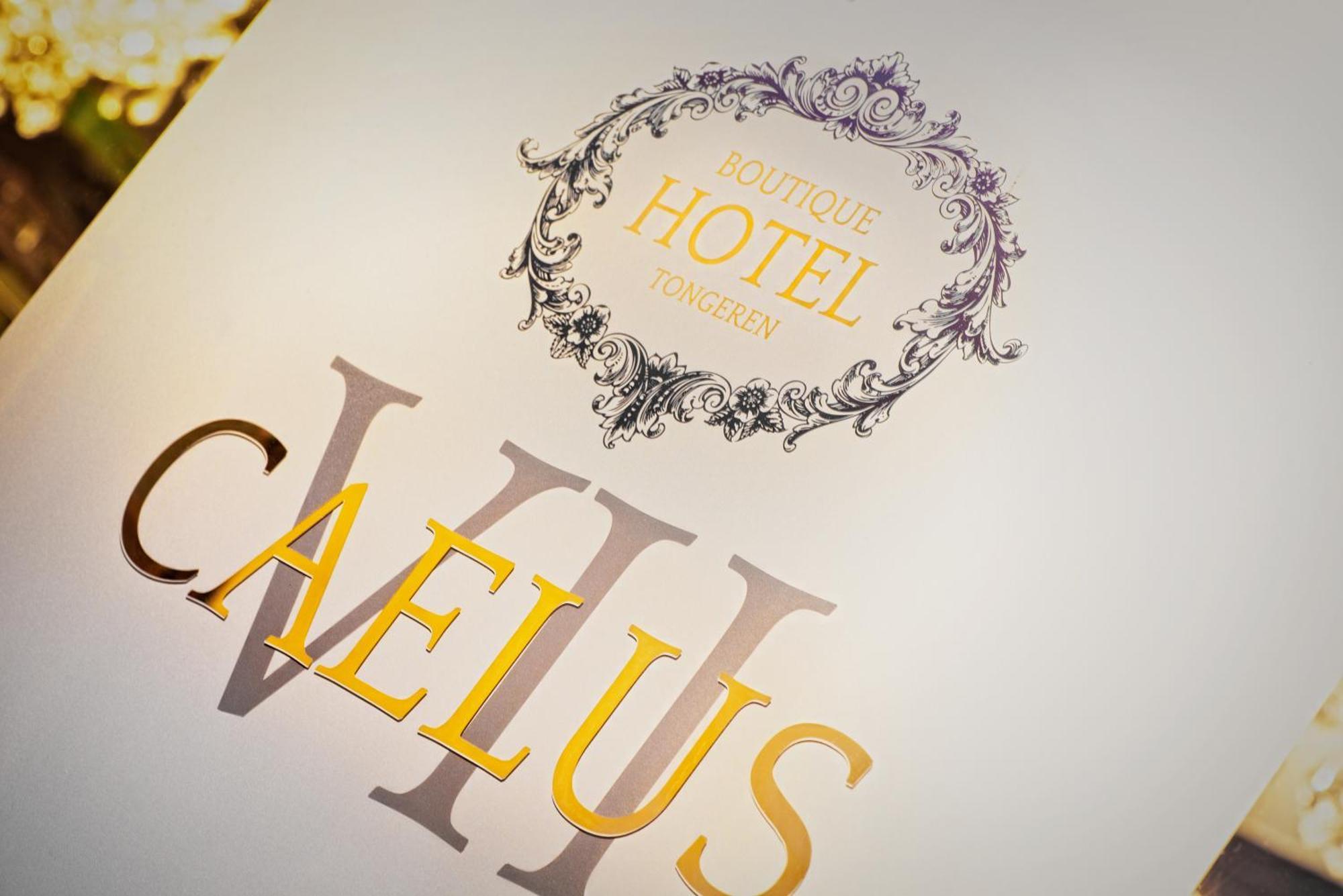 Boutique Hotel Caelus VII Tongeren Bagian luar foto